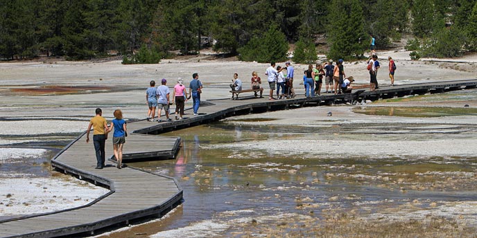 Norris Geyser Basin: Discover Yellowstone's Dynamic Hydrothermal Heart